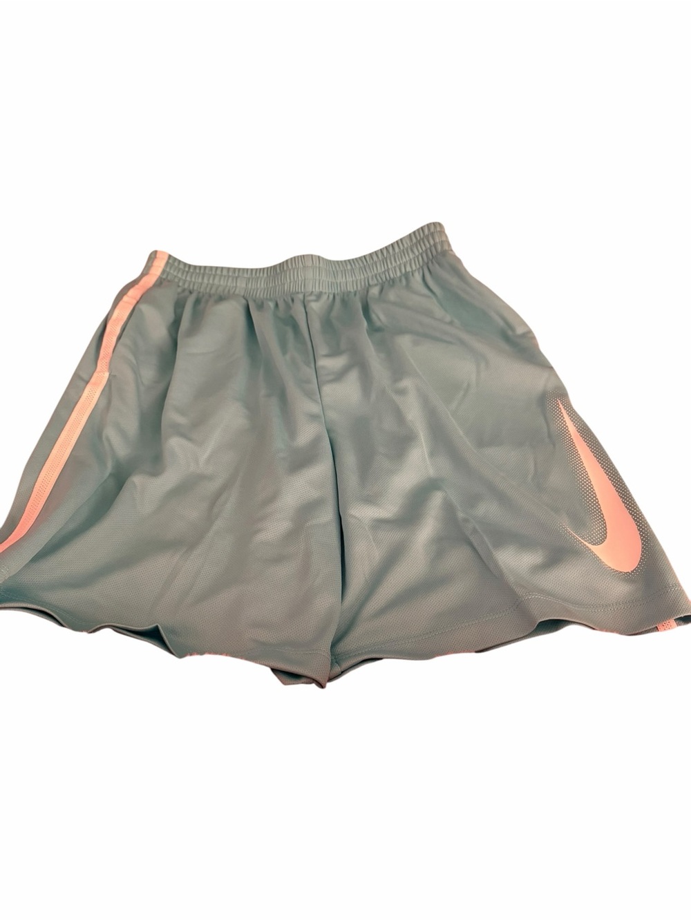 Nike Dri-Fit Kids Light Blue Athletic Shorts with White Swoosh